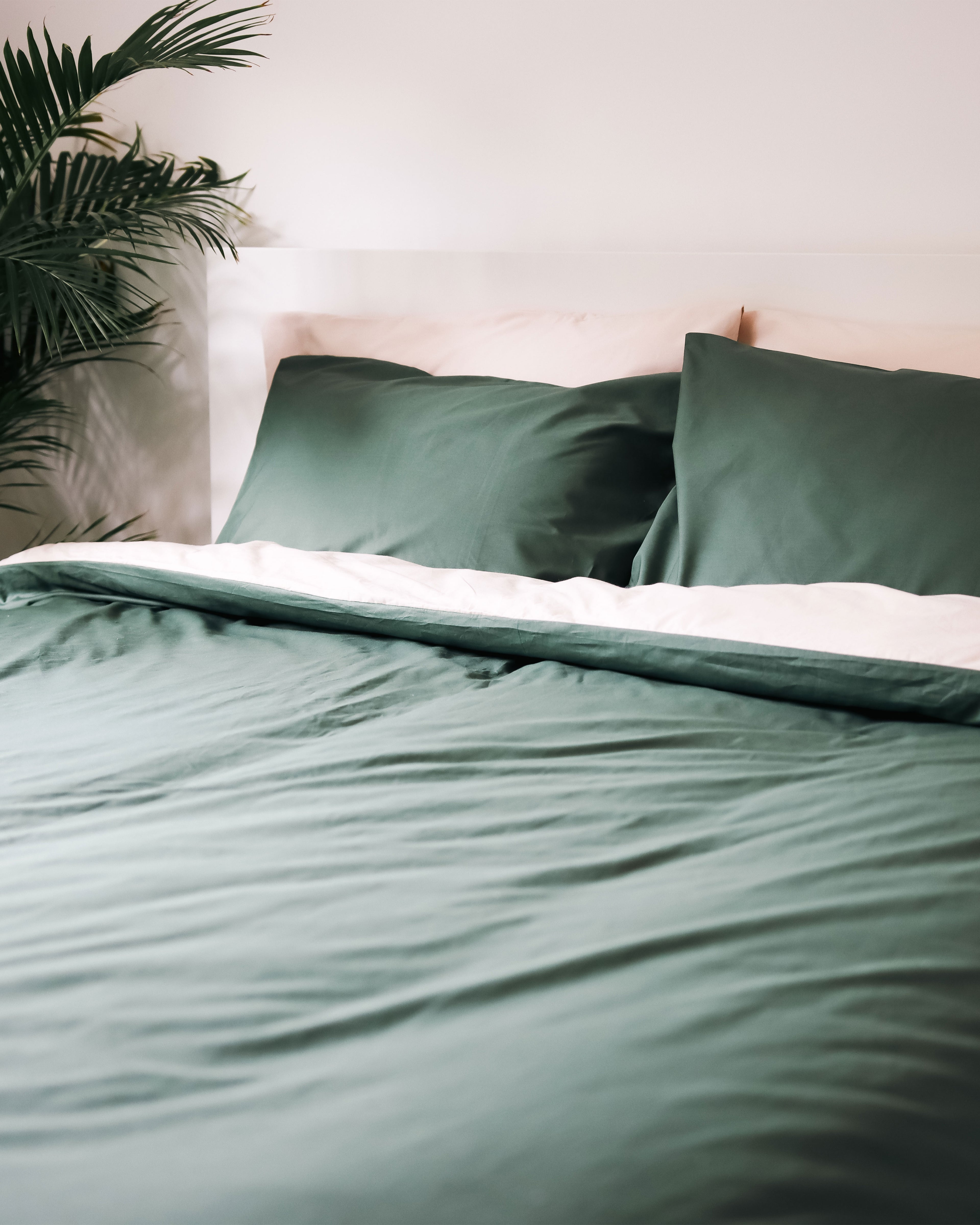 Green bedding set on a bedroom with a plant in the corner with beige and green pillows