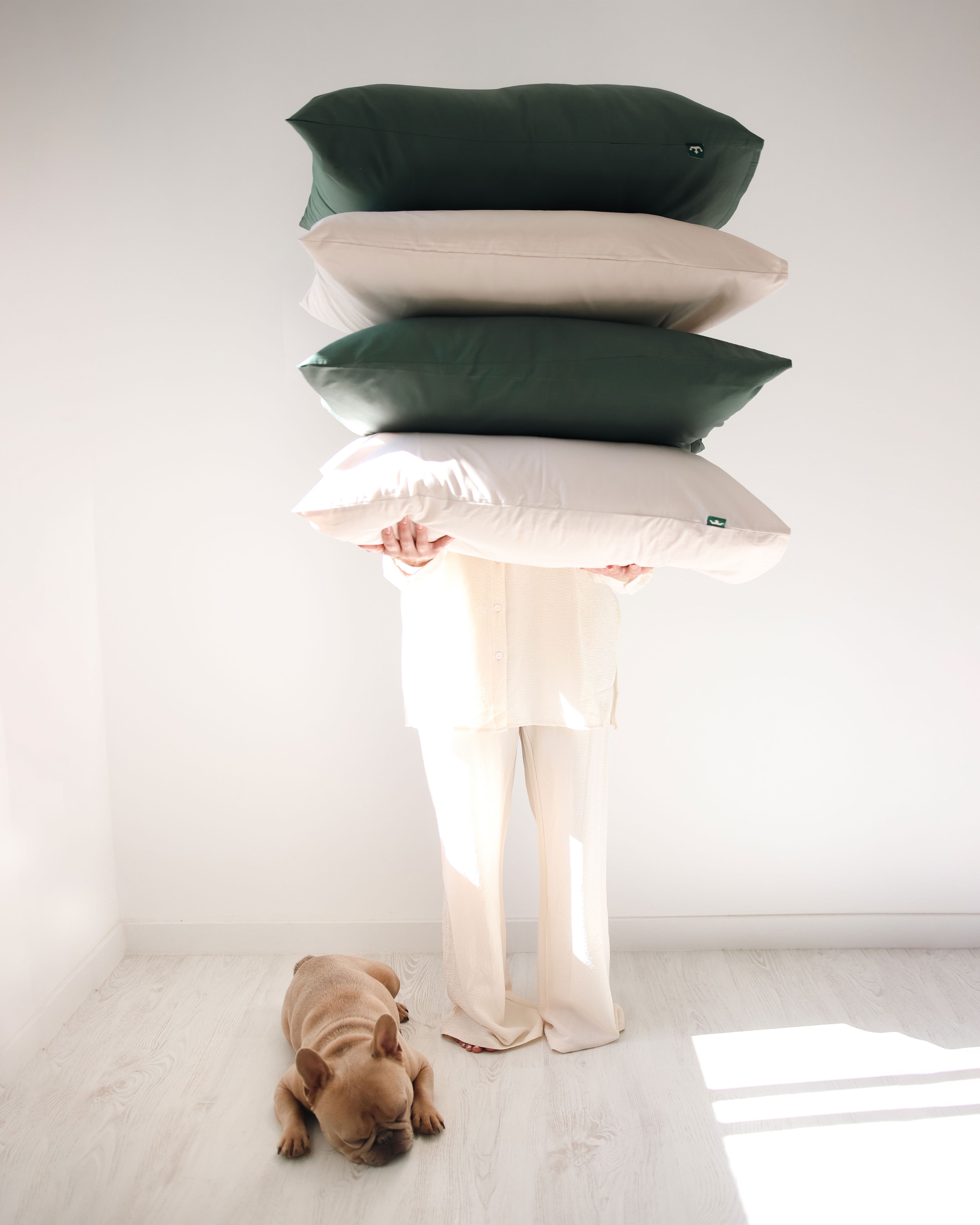 Person holding a stack of pillows with a french bulldog lying sleeping on the floor below.